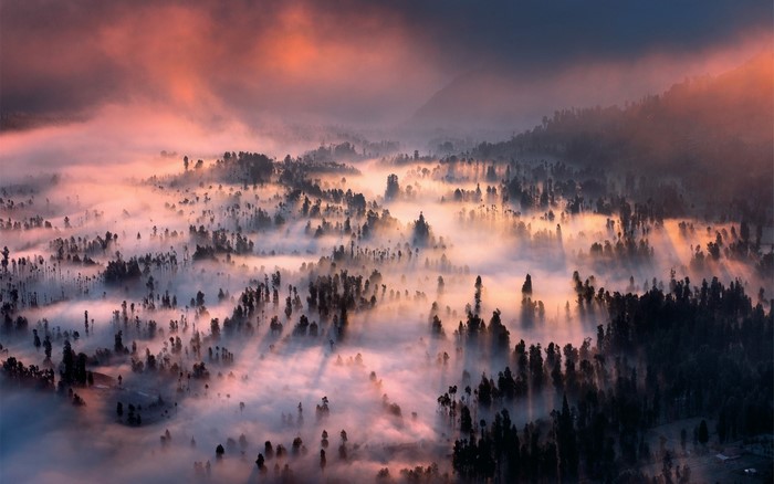 Misty forest landscape at sunrise with pink clouds