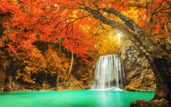 Waterfall in a colorful autumn forest in Thailand