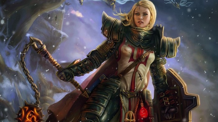 Crusader from Diablo III in Fantasy Armor