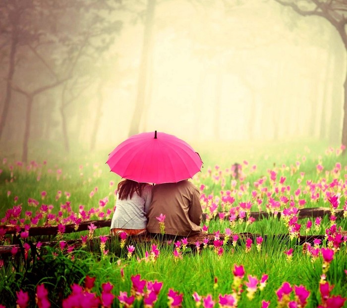 Couple under umbrella in flower field