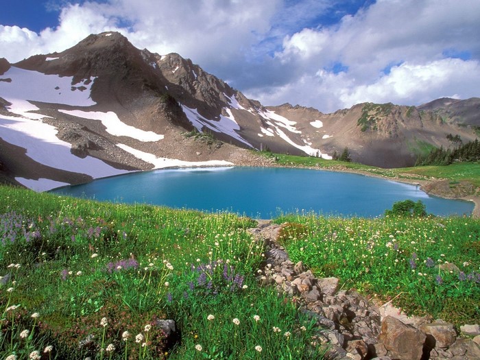 Turquoise alpine lake surrounded by snow-capped mountains and wildflowers