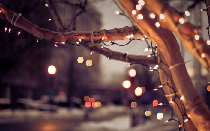 Tree branches with Christmas lights in a city at night