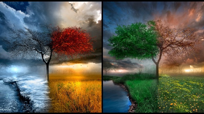 Four Seasons Tree Landscape