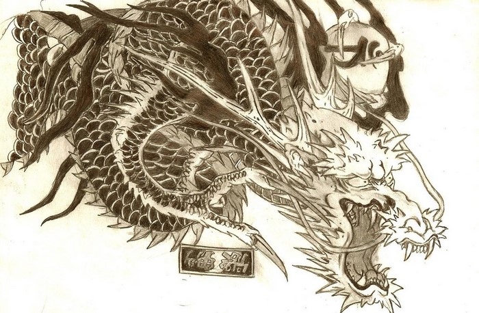 Pencil drawing of a Japanese dragon tattoo