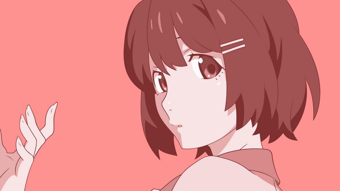 Tsubasa Hanekawa from Monogatari Series