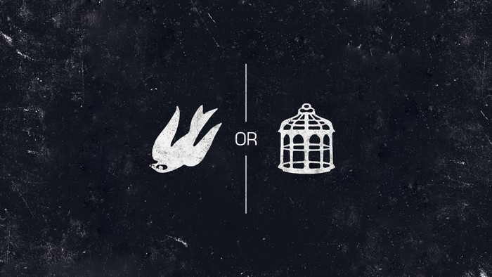 Bird or cage from Bioshock Infinite
