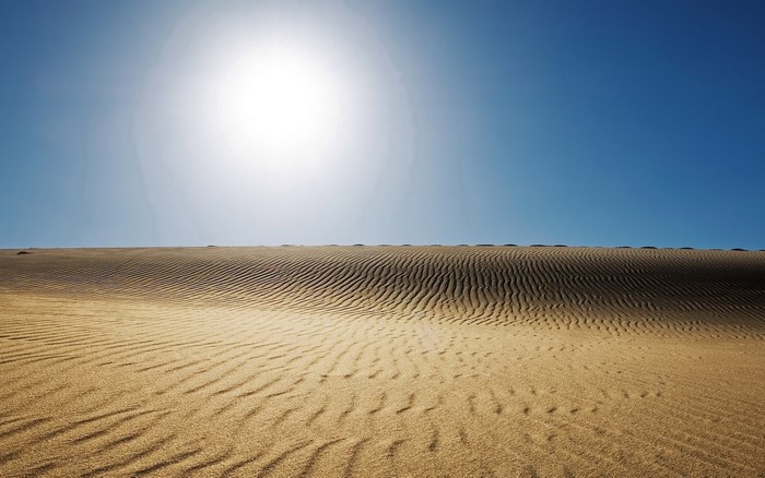 Desert sand dunes under a bright sun