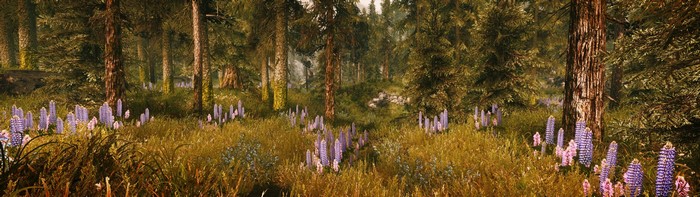 The Elder Scrolls V Skyrim landscape with mods