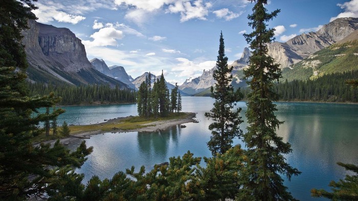 Serene Mountain Lake with Pine Trees and Island