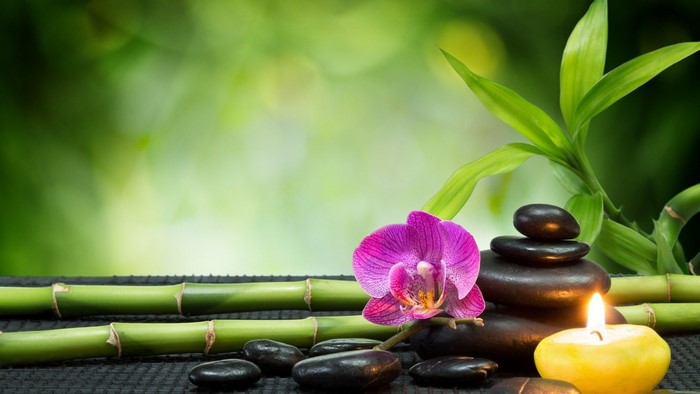 Zen spa arrangement with orchid, bamboo, stones, and candle