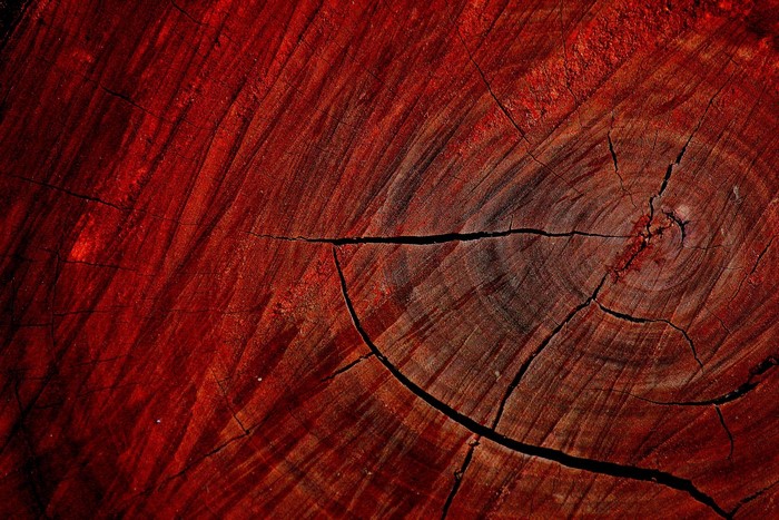 Red wood texture macro nature