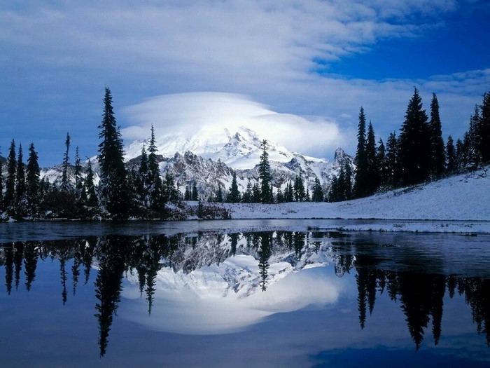 Snowy mountain reflected in a lake with pine trees