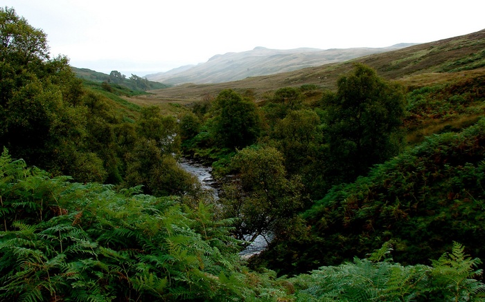 A winding stream flows through a wooded valley with rolling hills in the background.