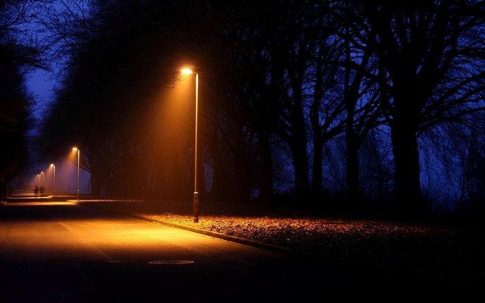 Streetlights illuminate a foggy path at night