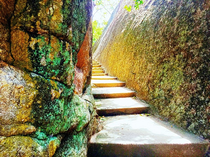 Stone stairs between moss-covered rocks in Sri Lanka