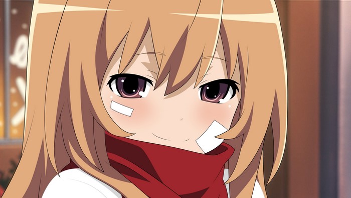 Taiga Aisaka from Toradora