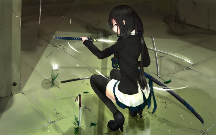 Anime girl with black hair and swords