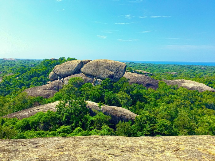 Lush Sri Lanka Forest with Rocky Outcrops