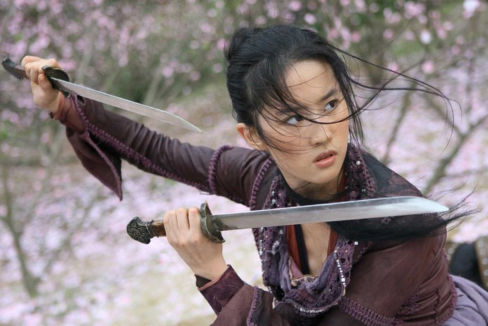 Mulan from The Forbidden Kingdom with two swords