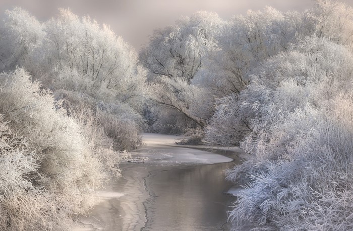 Frozen River with Frosty Winter Trees in Transylvania