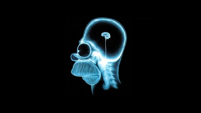 Homer Simpson X-ray from The Simpsons