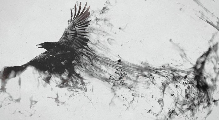 A raven dissolving into ink in flight