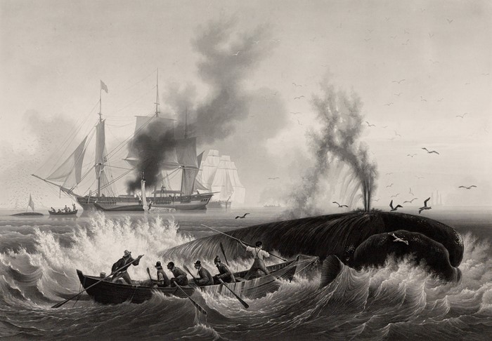 Whaling scene with ships and rowboat in rough seas