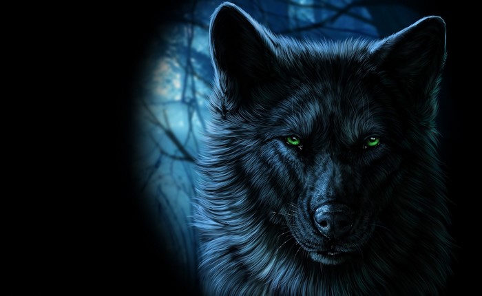 Black wolf with green eyes in a dark forest