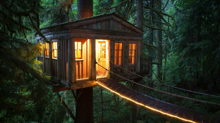 Illuminated Treehouse in a Dense Forest at Dusk