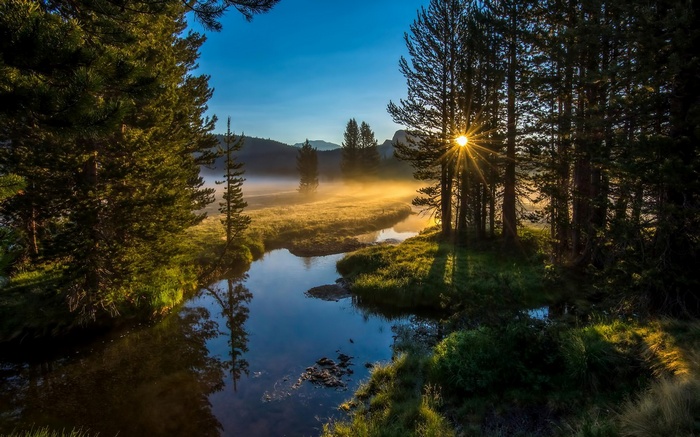 Sunrise over a misty river valley with pine trees