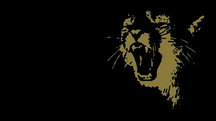 Ratatat music album cover