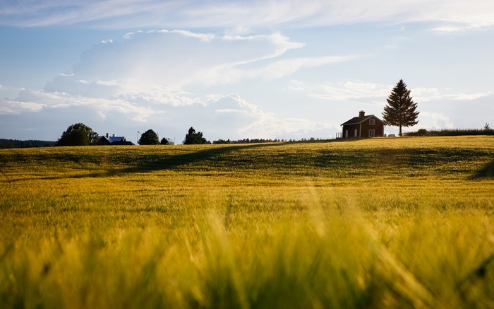 Rural landscape with house and field