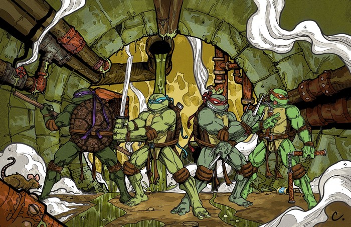 Teenage Mutant Ninja Turtles in a sewer