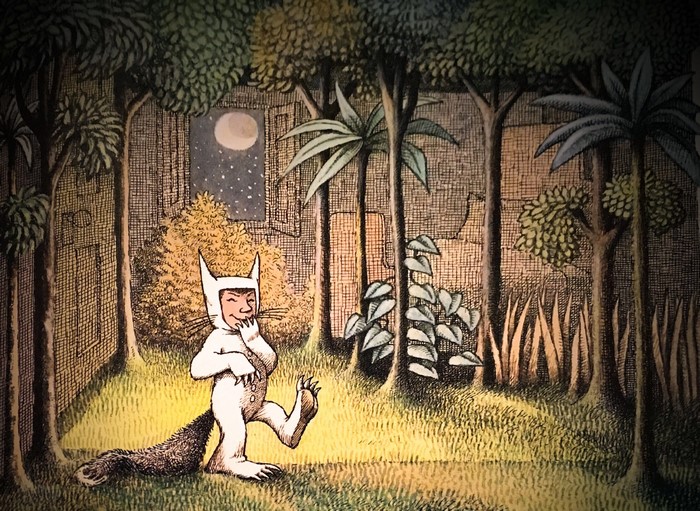 Max from Where the Wild Things Are in a forest