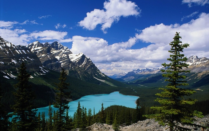 Turquoise lake surrounded by pine forest and snow-capped mountains