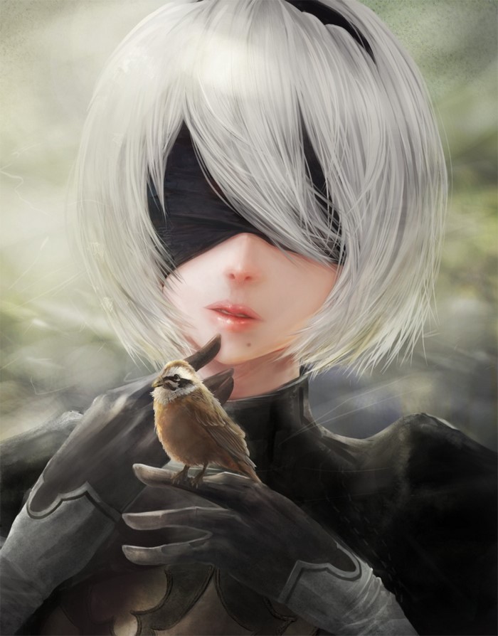 2b Nier Automata Nier Automata Elbow Gloves Animals Birds Nier, HD ...