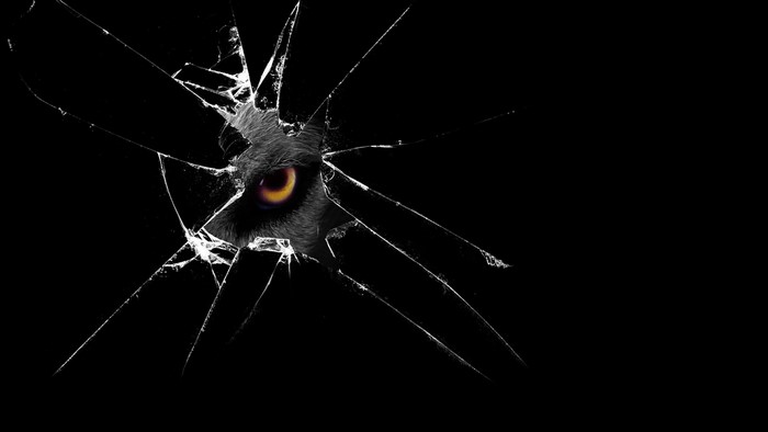 Creature eye peeking through broken glass