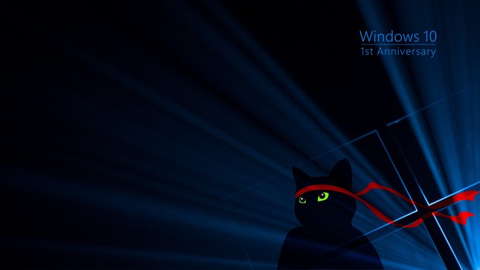 Black cat with red bandana and Windows 10 anniversary