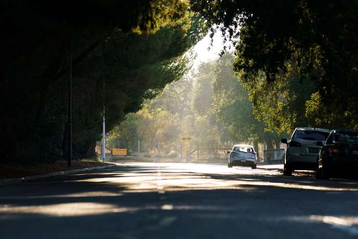Cars on a tree-lined road in sunlight 4K