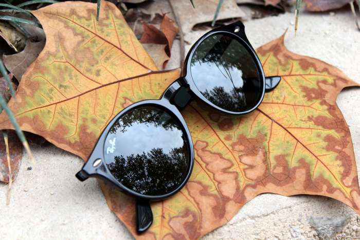 Ray-Ban sunglasses on autumn leaf