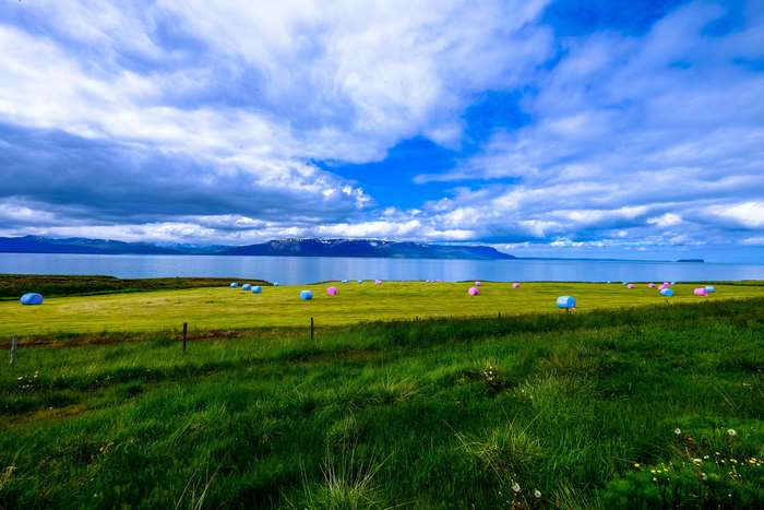 Hay bales in a field by the sea under a cloudy sky