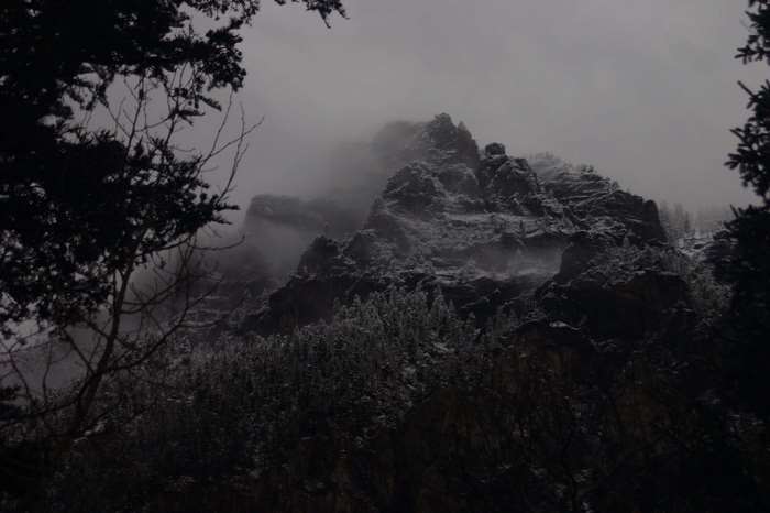 Snowy mountains shrouded in fog with trees in the foreground