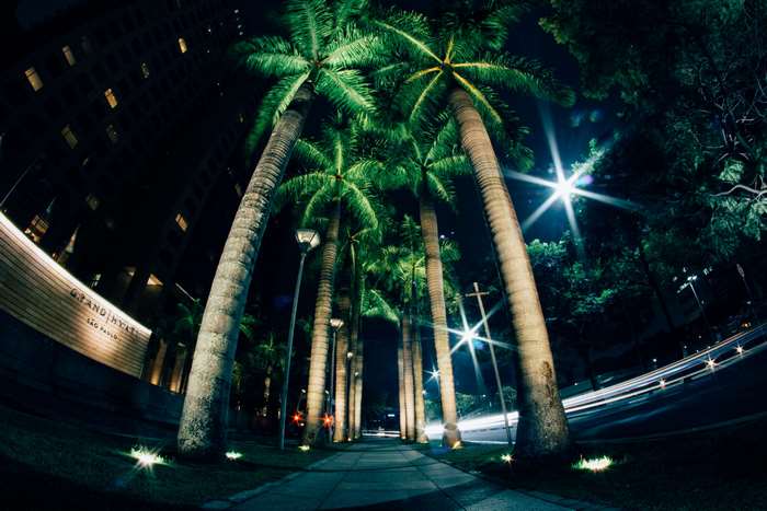Grand Hyatt Sao Paulo at Night with Palm Trees
