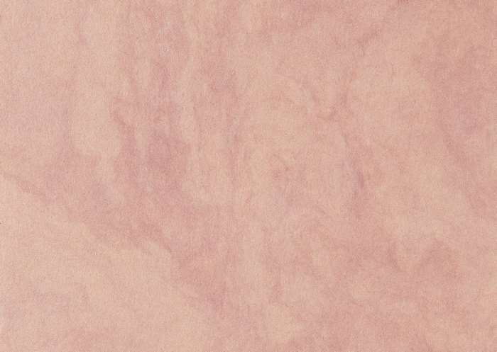 Salmon colored textured wall