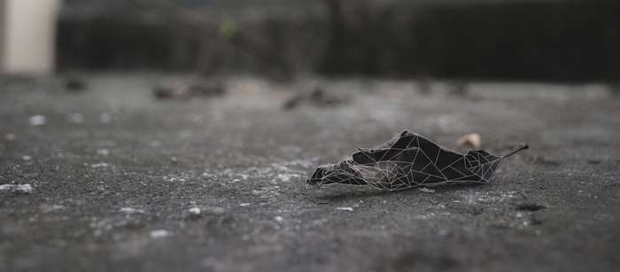 Lowpoly leaf on concrete surface