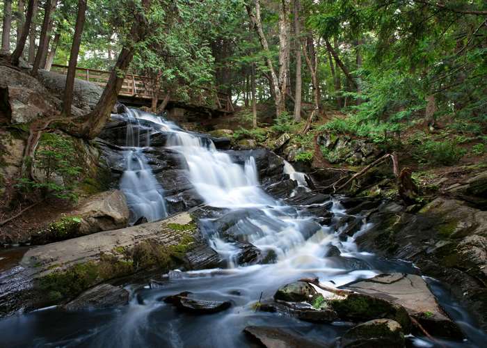 Waterfall flowing through a forest with a wooden bridge