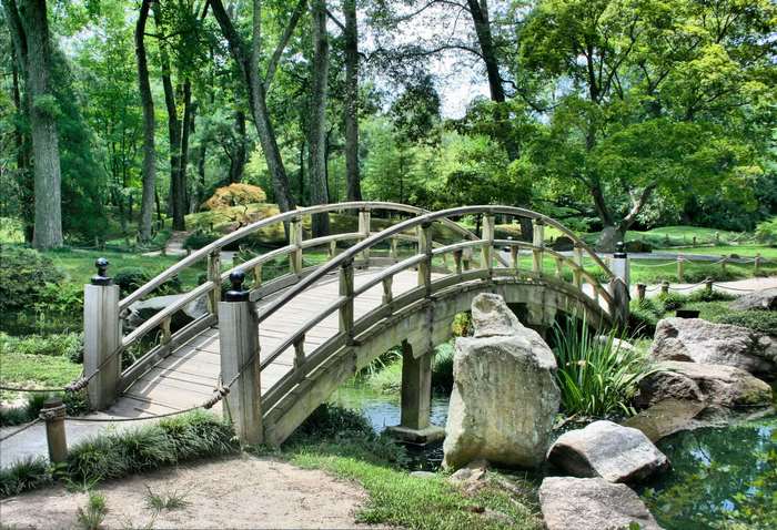 Wooden arched bridge over a stream in a Japanese garden