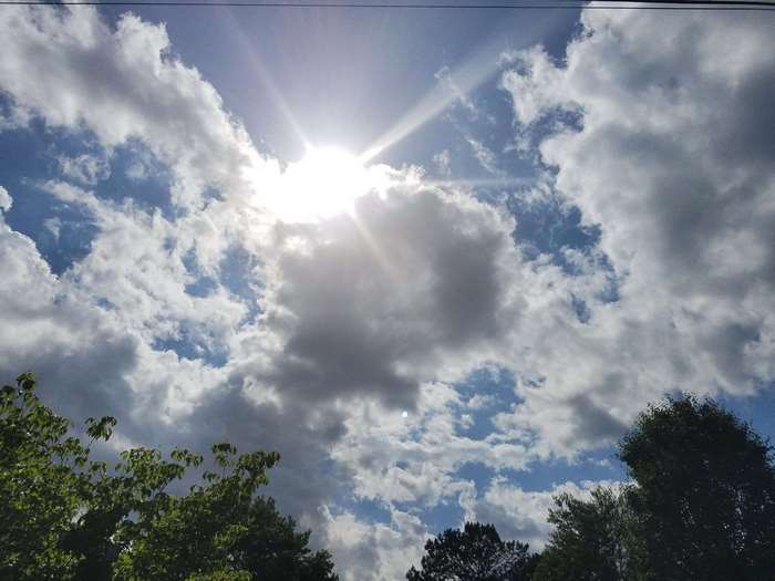 Sun shining through clouds with trees