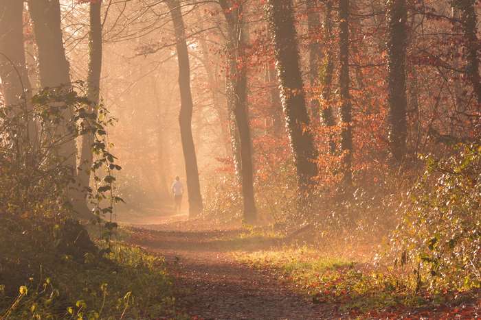 Person jogging on a misty forest path during autumn sunrise
