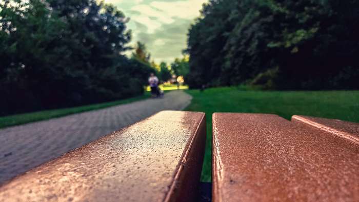 Park bench in a park with people walking